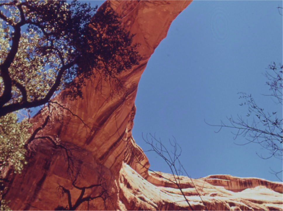 White canyon near the Sipapu Bridge Natural Bridges, by Boyd Norton